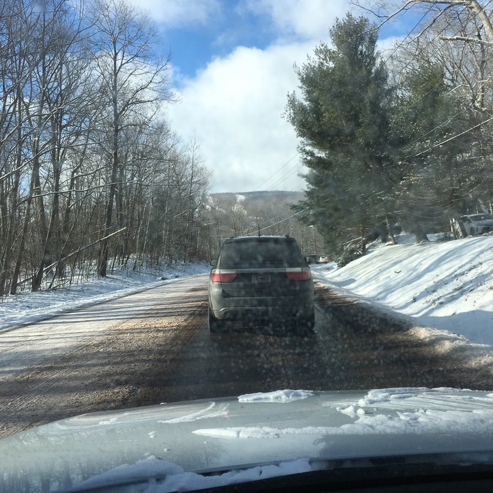 Meet your Posher, Patty